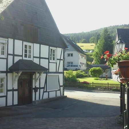 Am Bach Villa Olsberg Eksteriør bilde