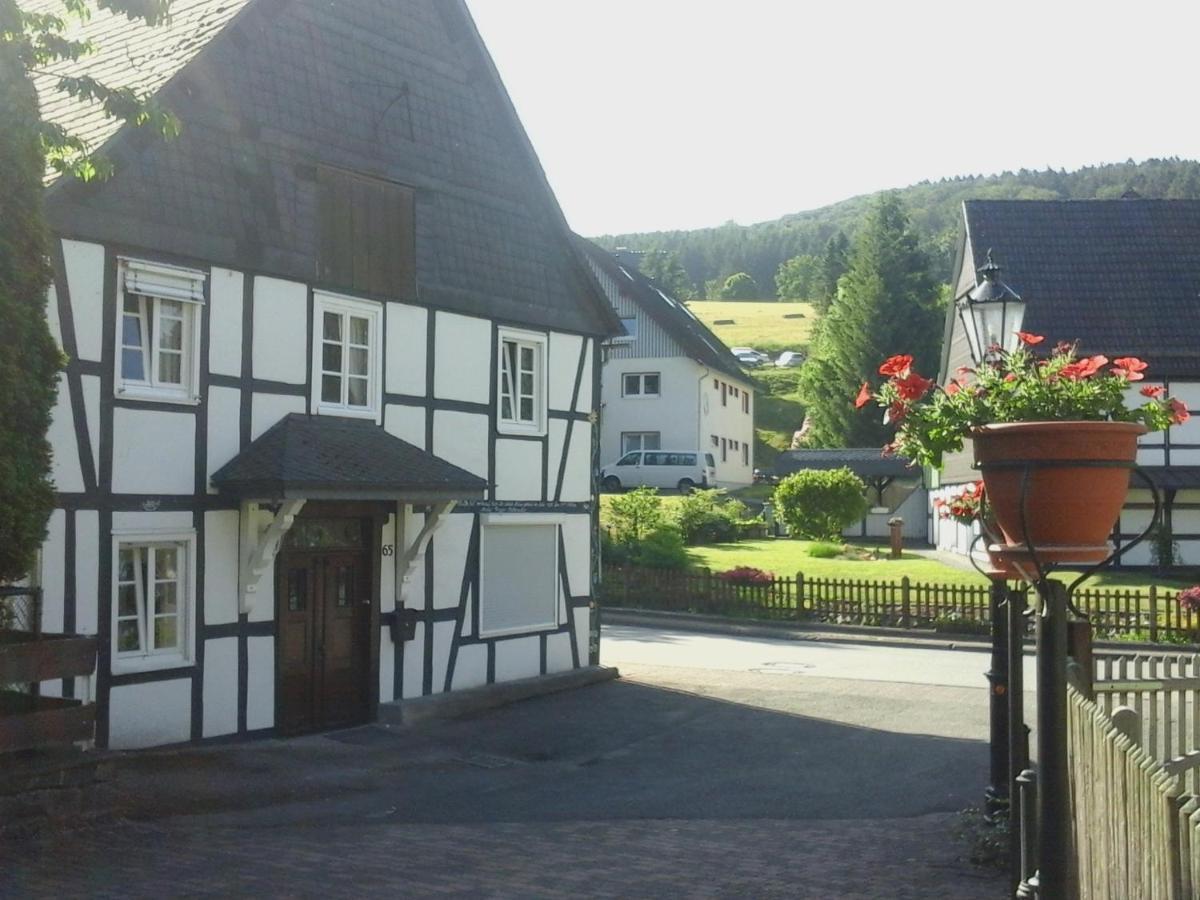 Am Bach Villa Olsberg Eksteriør bilde